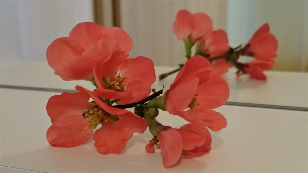 בובק Holiday Home Julian Alps מראה חיצוני תמונה
